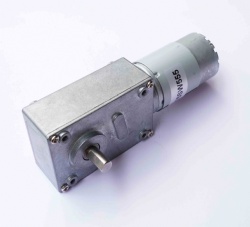 SK-WS58-555