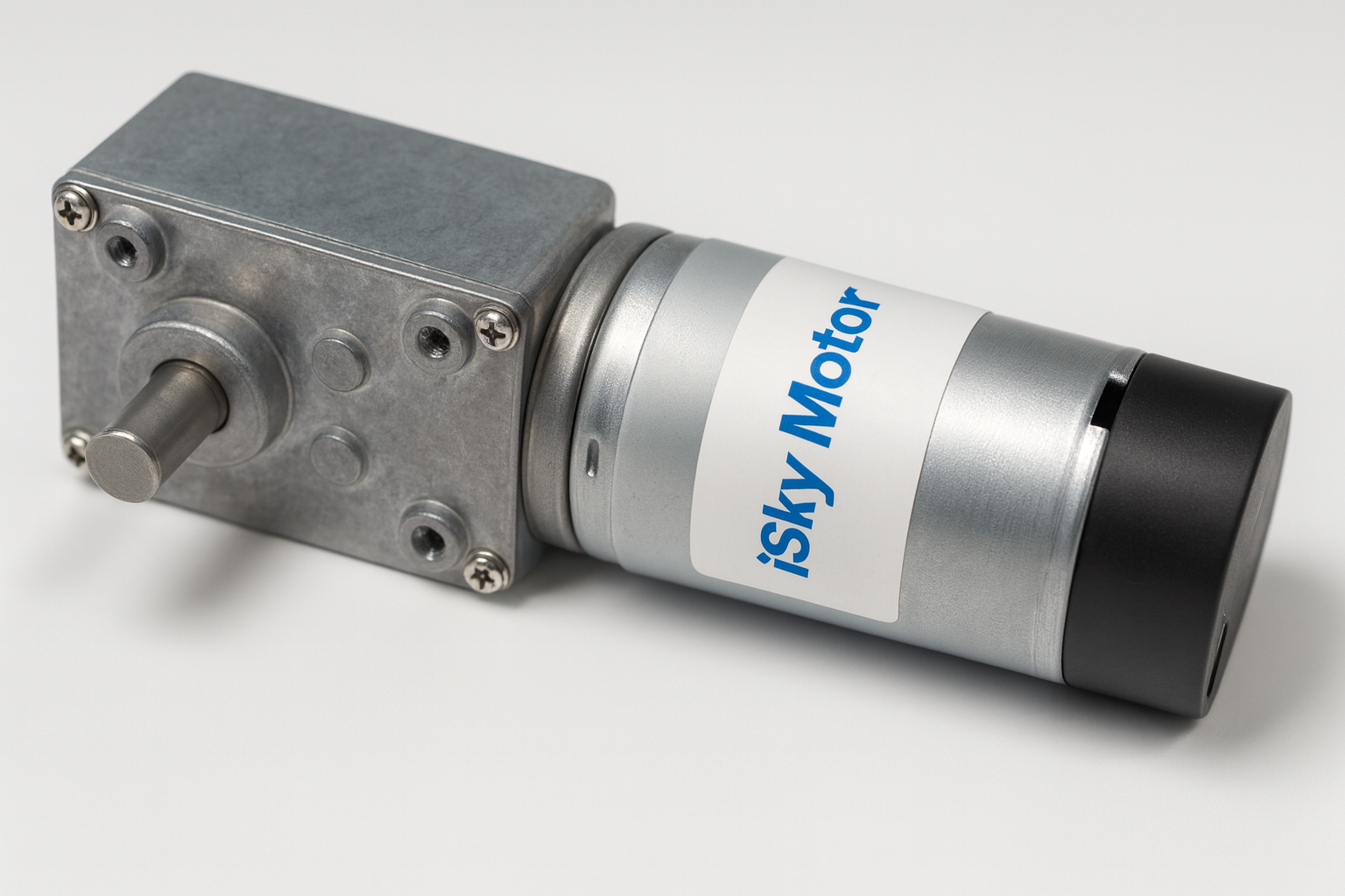 Worm Gearbox DC Motors